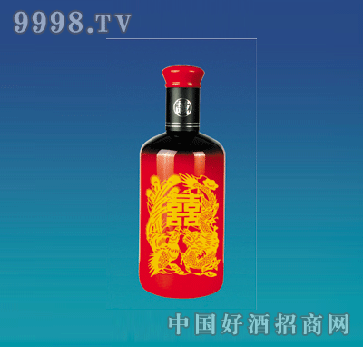 ZH-P085Ϳƿ500ml