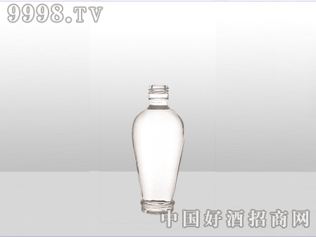 ZH-ZD-554ƿ500ml-еװϢ