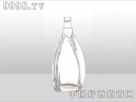 ZH-ZD-483ƿ500ml-еװϢ