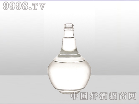 ZH-ZD-496ƿ500ml-еװϢ