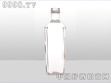 ZH-ZD-511ƿ500ml