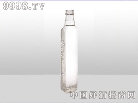 ZH-ZD-516ƿ500ml-еװϢ