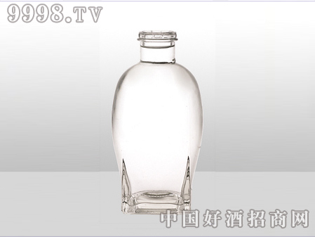 ZH-ZD-517ƿ500ml-еװϢ