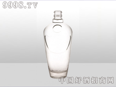 ZH-ZD-529ƿ500ml-еװϢ