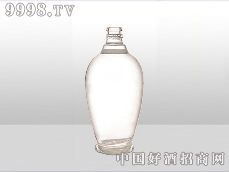 ZH-ZD-537ƿ500ml-еװϢ