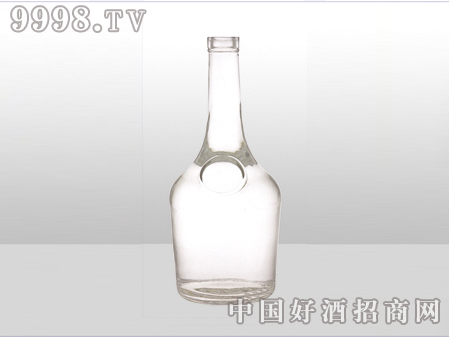 ZH-ZD-541ƿ500ml-еװϢ