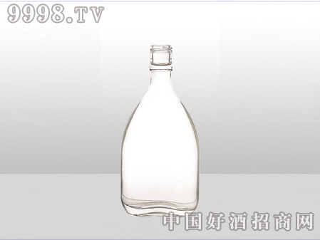 ZH-ZD-544ƿ500ml-еװϢ