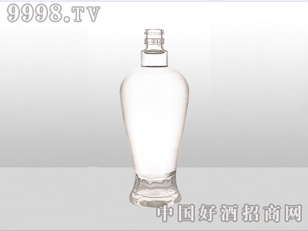 ZH-ZD-548ƿ500ml-еװϢ