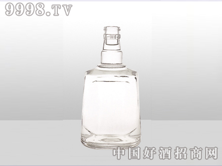 ZH-ZD-550ƿ500ml-еװϢ