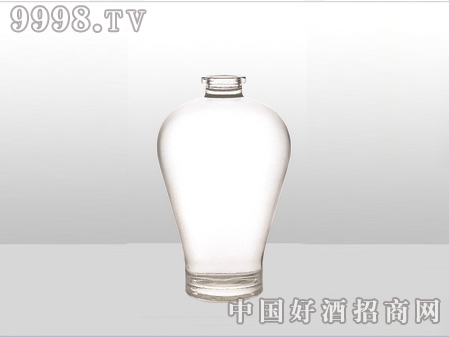 ZH-ZD-556ƿ500ml-еװϢ