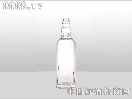 ZH-ZD-559ƿ500ml-еװϢ