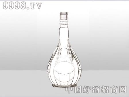 ZH-ZD-564ƿ500ml-еװϢ