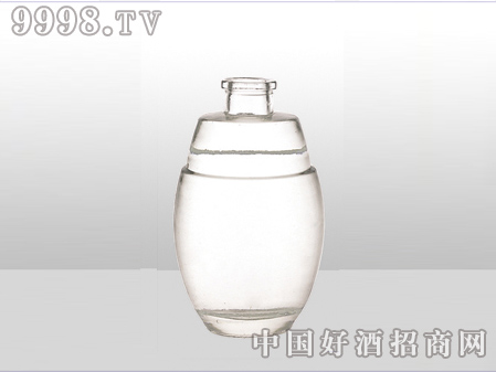 ZH-ZD-567ƿ500ml-еװϢ