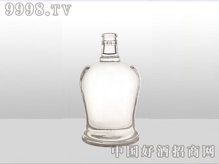 ZH-ZD-570ƿ500ml-еװϢ