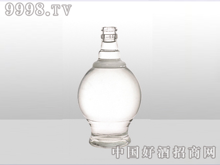 ZH-ZD-571ƿ500ml-еװϢ