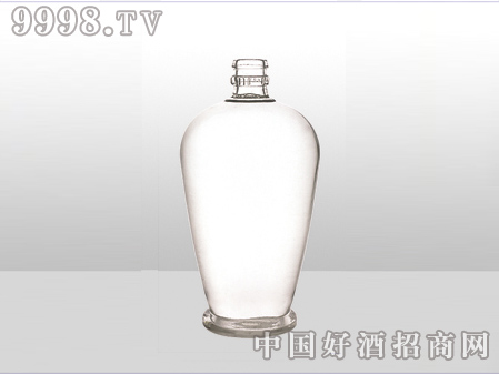 ZH-ZD-575ƿ500ml-еװϢ