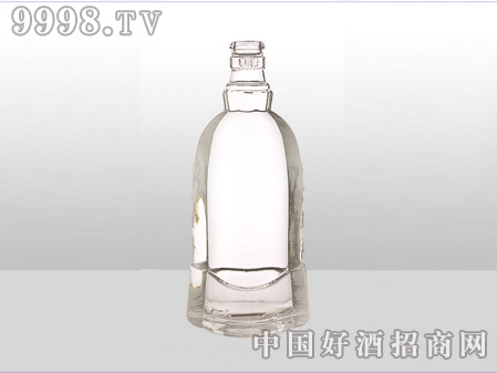 ZH-ZD-576ƿ500ml-еװϢ