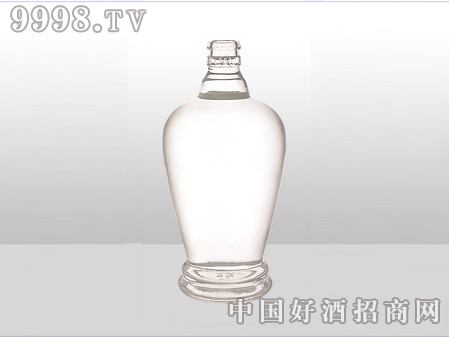 ZH-ZD-582ƿ500ml-еװϢ