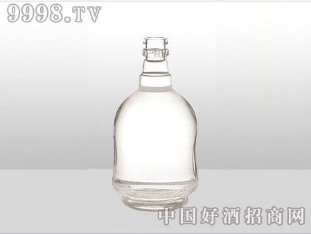 ZH-ZD-585ƿ500ml-еװϢ