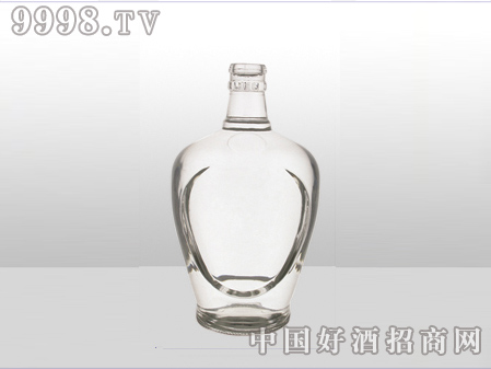 ZH-ZD-595ƿ500ml-еװϢ