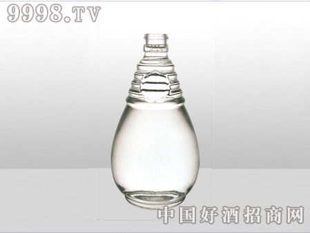 ZH-ZD-597ƿ500ml-еװϢ