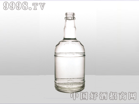 ZH-ZD-601ƿ500ml-еװϢ