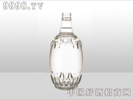 ZH-ZD-613ƿ500ml-еװϢ