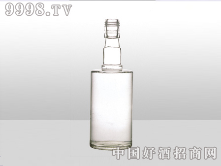 ZH-ZD-688ƿ500ml-еװϢ