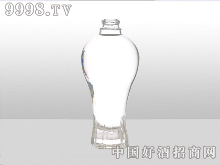 ZH-ZD-728ƿ500ml-еװϢ