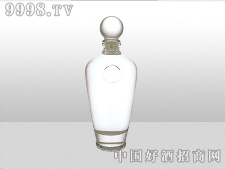 ZH-ZD-729ƿ500ml-еװϢ