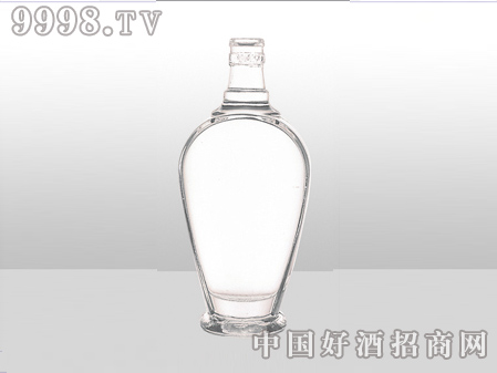 ZH-ZD-733ƿ500ml-еװϢ