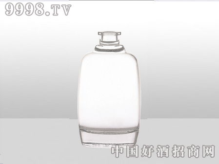 ZH-ZD-734ƿ500ml-еװϢ