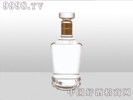 ZH-ZD-739ƿ500ml-еװϢ