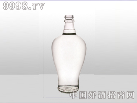 ZH-ZD-628ƿ500ml-еװϢ