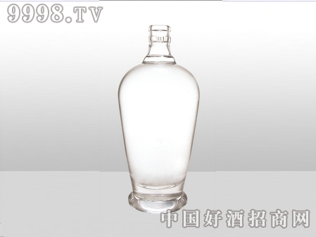 ZH-ZD-747ƿ500ml-еװϢ