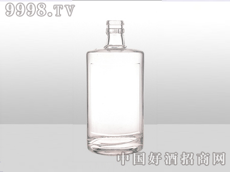 ZH-ZD-750ƿ500ml-еװϢ