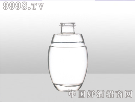 ZH-ZD-756ƿ500ml-еװϢ