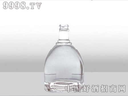 ZH-ZD-793ƿ500ml-еװϢ