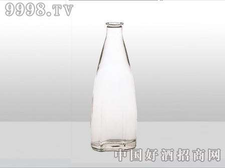 ZH-ZD-809ƿ500ml-еװϢ