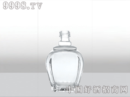 ZH-ZD-844ƿ250ml-еװϢ