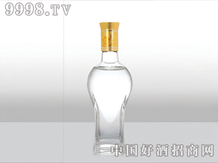 ZH-ZD-858ƿ250ml-еװϢ