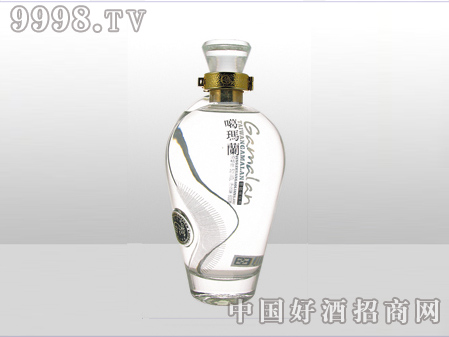 ZH-ZD-652ƿ500ml-еװϢ