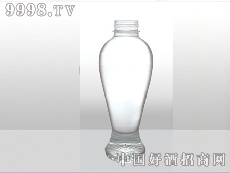 ZH-ZD-658ƿ500ml-еװϢ