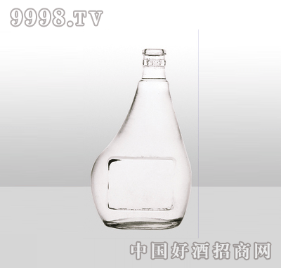 ZH-89߰ײƿ600ml-еװϢ