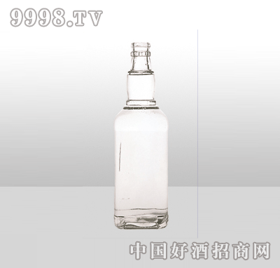 ZH-76߰ײƿ500ml