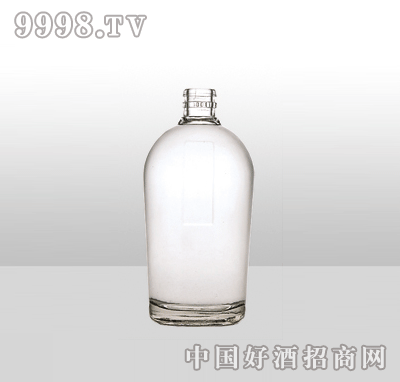 ZH-38߰ײƿ500ml-еװϢ