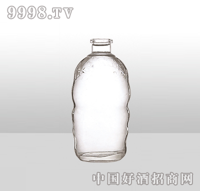 ZH-27߰ײƿ500ml-еװϢ