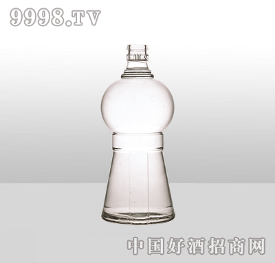 ZH-19߰ײƿ500ml