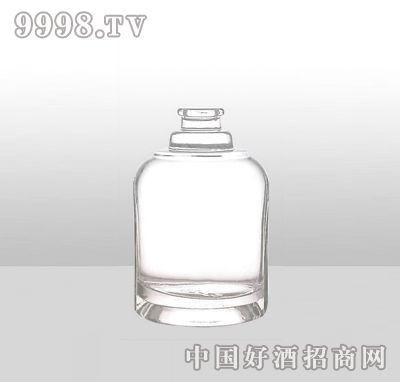 ZH-J046߰ײƿ500ml-еװϢ