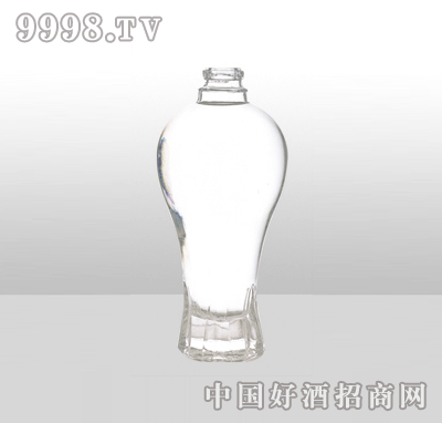 ZH-J045߰ײƿ500ml-еװϢ